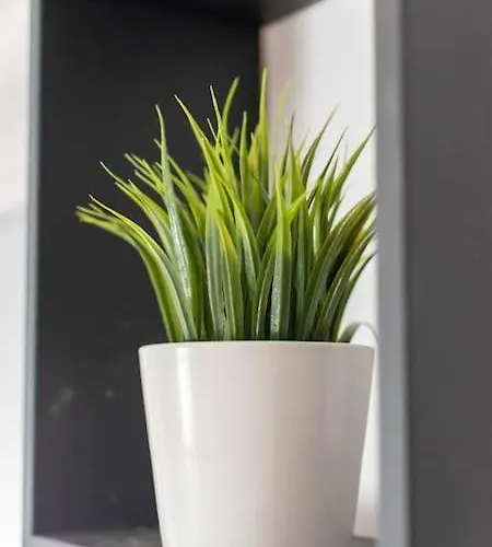 Apartment Living - San Paolo *