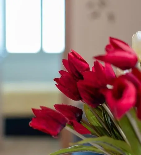 Living - San Paolo Apartment